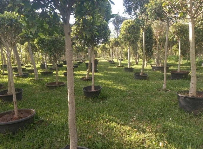 أشغال الجردة نقوم بجميع أعمال الهدم وإزالة الأنقاض وتنظيف الورش باحترافية، مع احترام معايير السلامة وتنظيم المكان استعداداً للبناء أو التجديد.